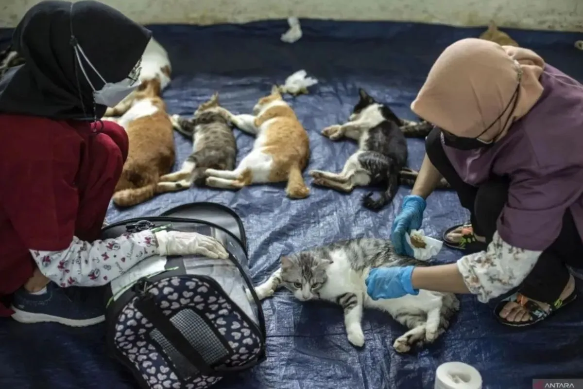 Jakarta Selatan Pertahankan Status Kota Bebas Rabies, Vaksinasi Capai 119%